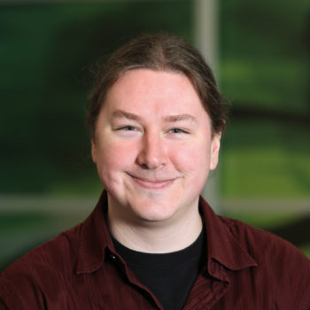 Matthijs van Wees
